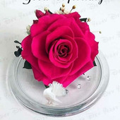 Santosh 20