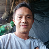 Rod