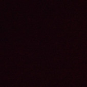 Rajib