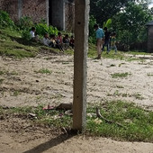 Ala