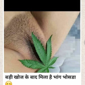 king420