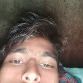 Saleem