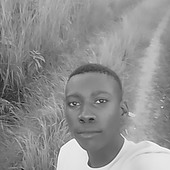 T bleax