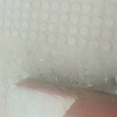 Jatav