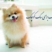 Mohsen007
