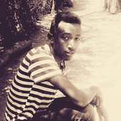 mammeadam8@gmail.com