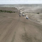 Ali gedi