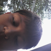 Nestor