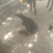 Parveen