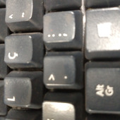 Umnovodia32