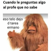 Rompeortos3000