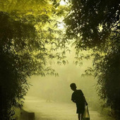 Abhijit80