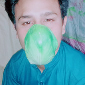 Mir Ans