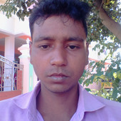 Bisu
