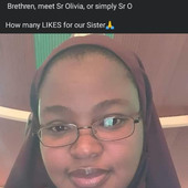 Bolo