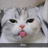 Bhshcagyy879