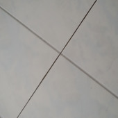 Yxyx