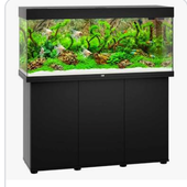 Tank fish
