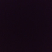 Hemant