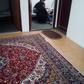 amirpahl