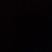 Lee