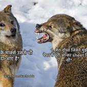 abhi881721