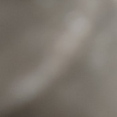 Inu