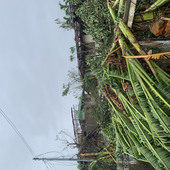 papichulo