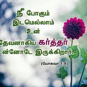 Ammupron