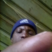 Mlotywa godwana