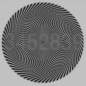 Qwertyuiop2361