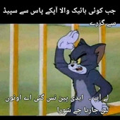 Bukhari