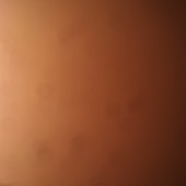 Hxs