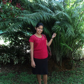 safri