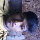 Mr max