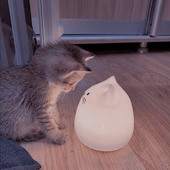 DREAMCAT