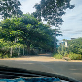Yaan