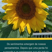 adriano Silva