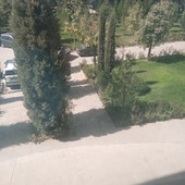 Emayli