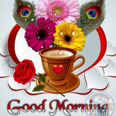 Krish5861
