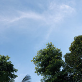 Chempakam