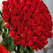 Ahmad81