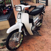 Amar