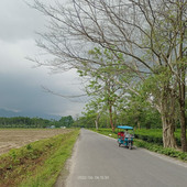 ankit0086