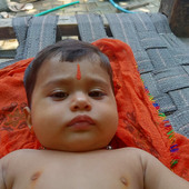 Rohalshalbi