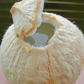 Riyanahmed