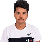 Rajchy