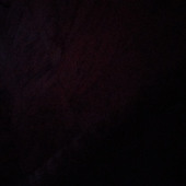 Wido