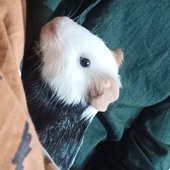 Kevinbaba08