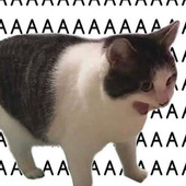 Bkira